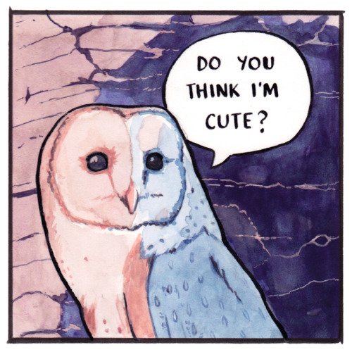 dullahandame:falseknees:Chouette [ID: a comic showing two barn owls, done in a watercolour style, a 