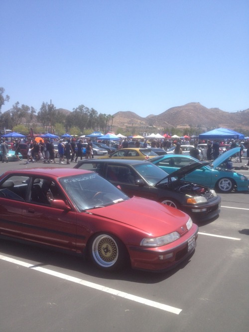 chicksdigfixies:  Eibach2013 and how it sits now