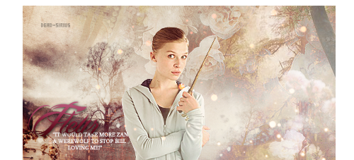 dead-sirius:  Favorite Harry Potter Heroines   Related Quotes 
