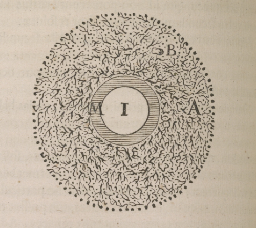 magictransistor:  René Descartes. Principia Philosophiae. Amsterdam, Apud L. Elzevirium. 1644. Descartes’s Mechanical Philosophy: According to French philosopher René Descartes (1596-1650), the universe operated as a continuously running machine which