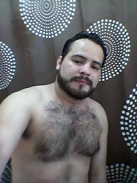 BEAR_HAIRY