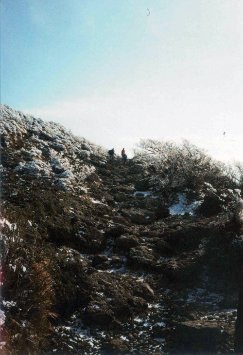 Two Weeks Ago I Went Hiking With Friends At Mt. Kirishima (), A Mountain Range In Southern Kyushu. During