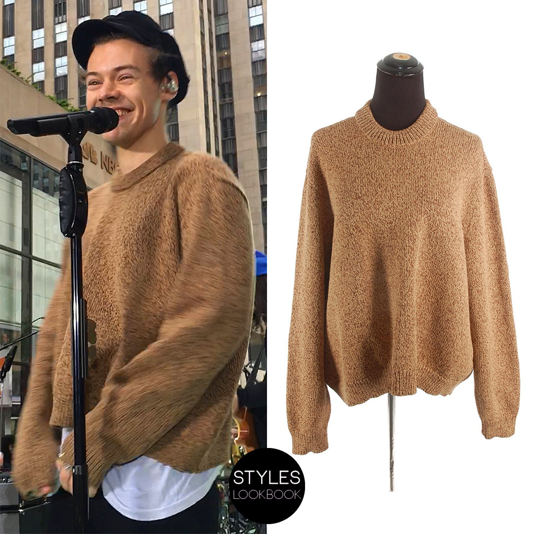 balenciaga sweater brown