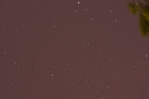 strawberro: pics from last night’s meteor shower (photo creds to my momma)