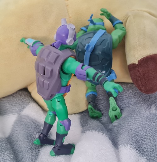 Its Just That Donnie Its T- Posing :D