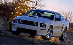 ford-mustang-generation:  Season´s greetings by B&amp;B Kristinsson on Flickr.