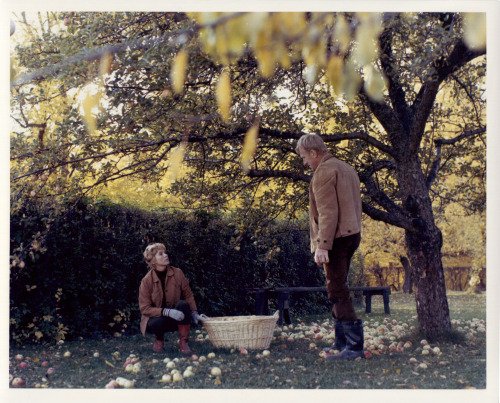 Max Von Sydow in Ingmar Bergman’s various movies