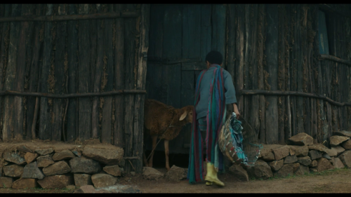 Lamb (2015), Dir. Yared Zeleke.