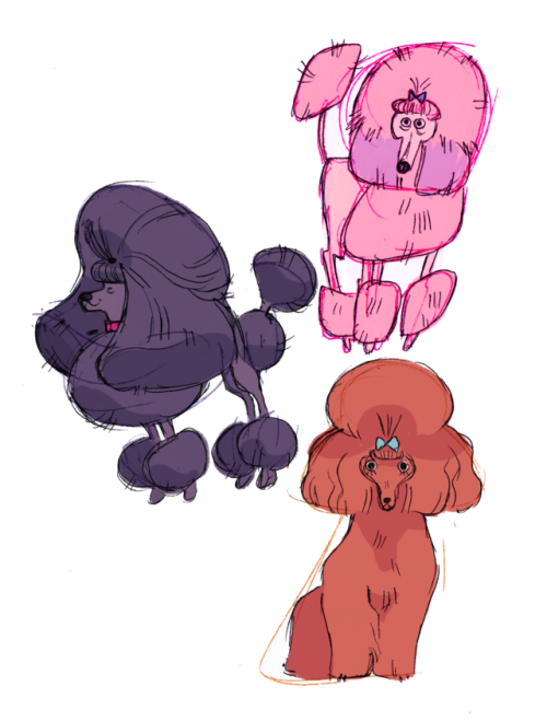 mimiadraws: Poodle doodles! 