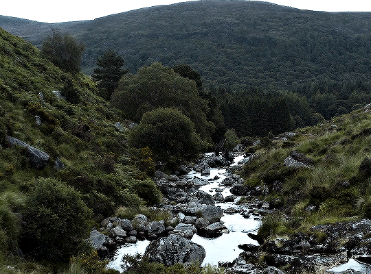 a53f4b5fda35254b34adaa936a168be717519584.gif