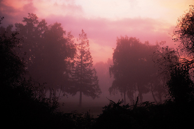 winterfellis:  untitled by m.tones on Flickr. 