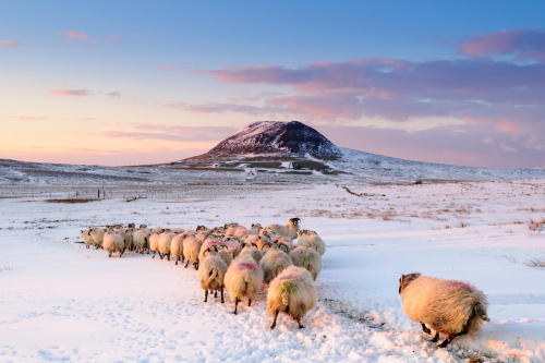 putdownthepotato:  Slieve Mish, Co. Antrim, Ireland by Przemislaw Zdrojewski