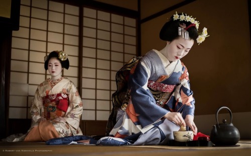 This coordinate owned by Tomikiku okiya (Gion Higashi) is for senior maiko and iscurrently being wor