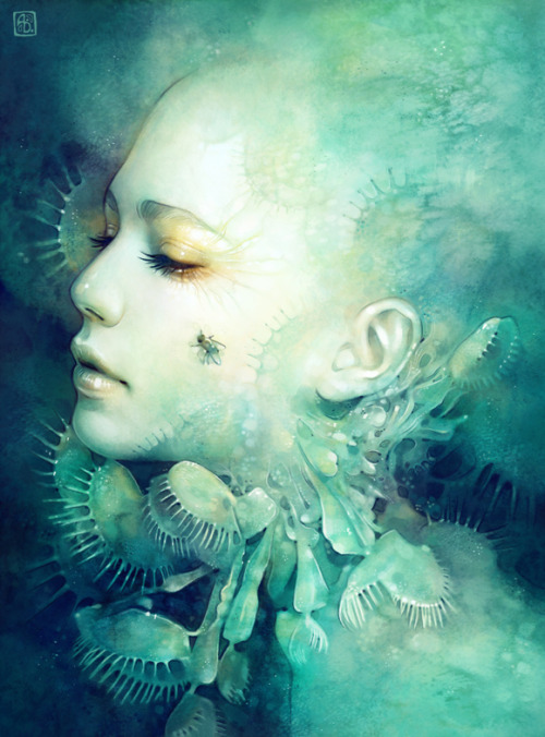 lohrien:  Illustrations by Anna Dittmann (escume)  dA l tumblr