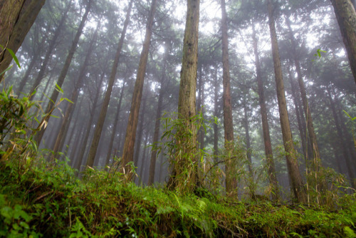 90377: Mt. Fuji Sea to Summit by Frame of Travel