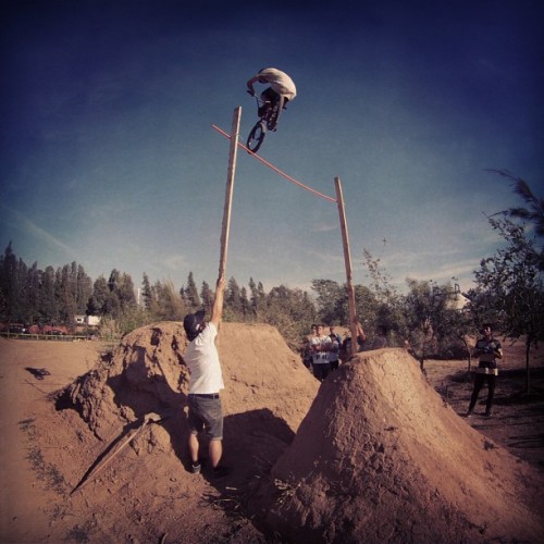 shameless-gambler: Guachaca bmx riders #bringbackdirt #bmx #dirt #stepup