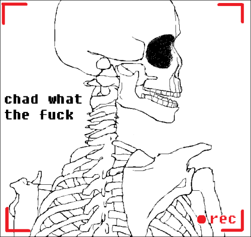 tfm-doodle: mariogamefreak: the return of vulgar skeleton skuldxggxry