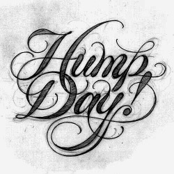 I need more Hump and less day! 