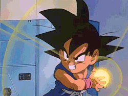 Tenkaichi Budokai