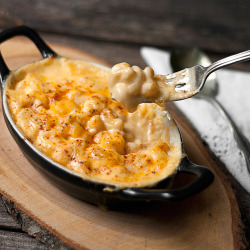 in-my-mouth:Creamy Mac and Cheese