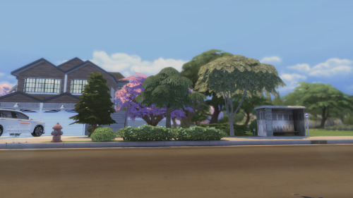 Look At Meeee I Got A Lil Neighborhood Going.