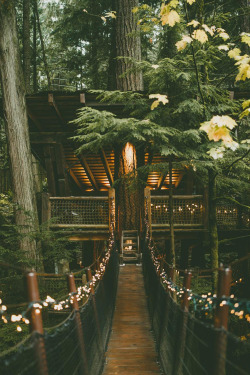 banshy:  Capilano Suspension Bridge by: Rachel