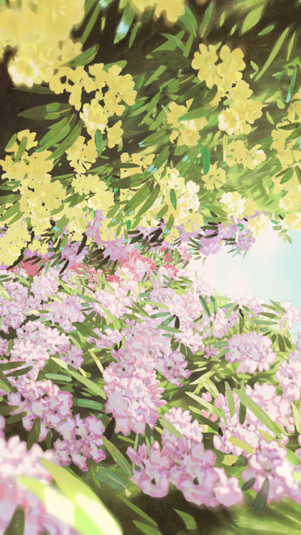 nanazse:~Spirited Away~ HQ lockscreens/wallpapers (1200 x 2135px)