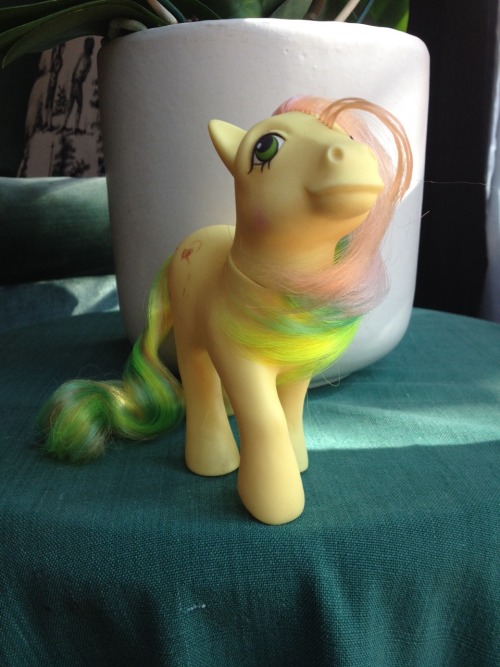 New to the herd: Trickles!I have come to realise that this is my favourite pose for earth ponies! Tr