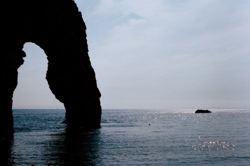 camelliapollen:durdle door / dorset, england