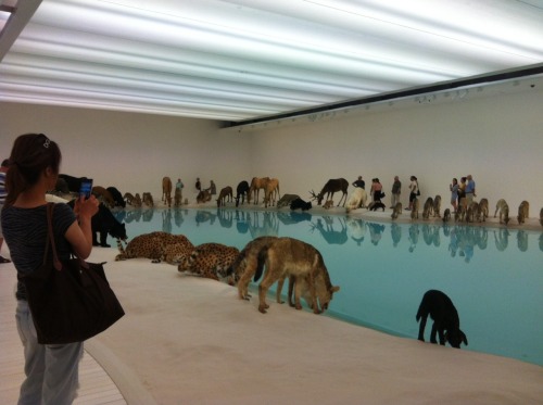 girlfury:   Cai Guo-Qiang: Falling Back to Earth // GoMA Brisbane            