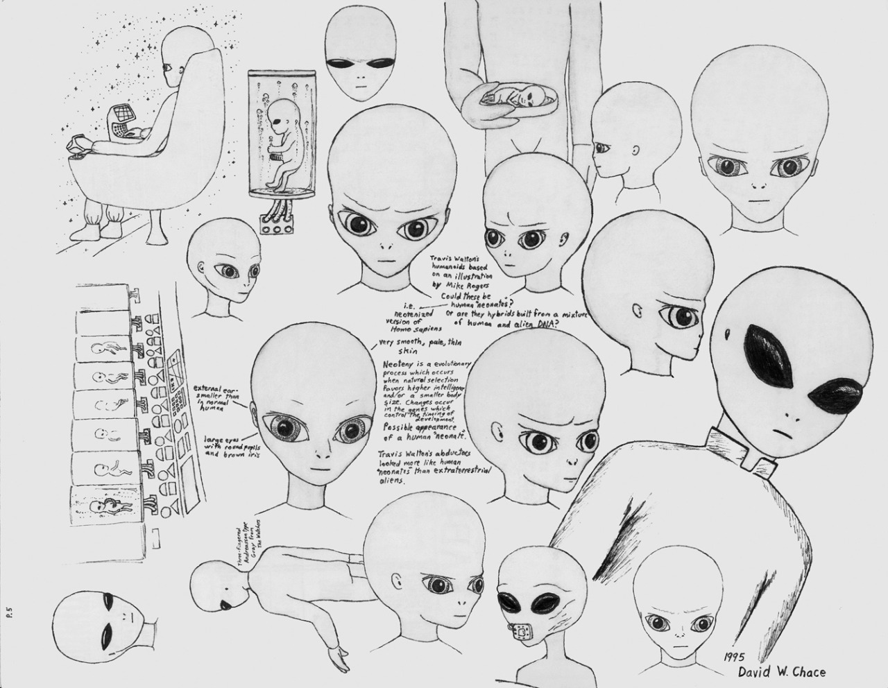 larger-universe:Some pages out of the book ” A Visual Guide to Alien Beings”