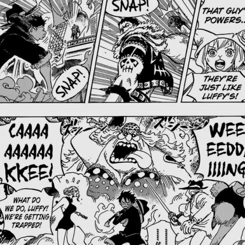 One Piece Chapter 877 Explore Tumblr Posts And Blogs Tumgir