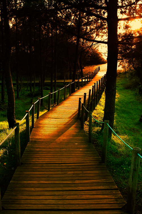 plasmatics:  Beautiful Day by Luis Valadares |(Website) 