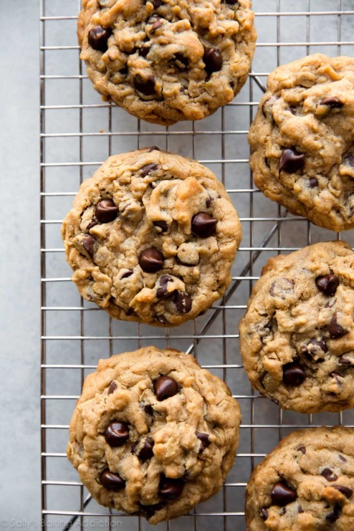 sweetoothgirl: Big Fat Peanut Butter Oatmeal Chocolate Chip Cookies