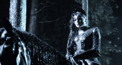 klnjones-blog:  Everyone thinks of [fairy tales] in terms of poisoned apples and glass coffins, and forgets that they represent girls who walked into dark forests and remade them into their own reflections. 