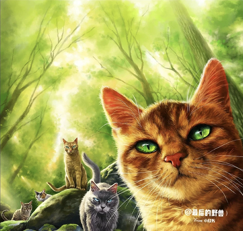 Warrior Cats - Warriors: Into The Wild Credit of art goes