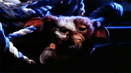 xavirdolan:GIZMO in Gremlins (1984)