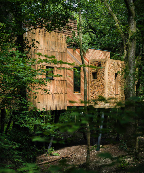 thedesigndome: Luxury Treehouse Hosts Modern Facilities Designed For Comfort The Woodman’s Tre