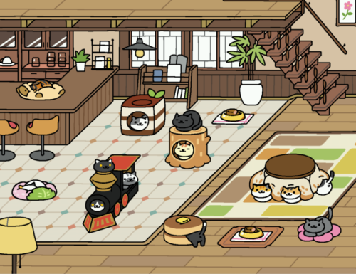 Maximum coze in the neko cafe