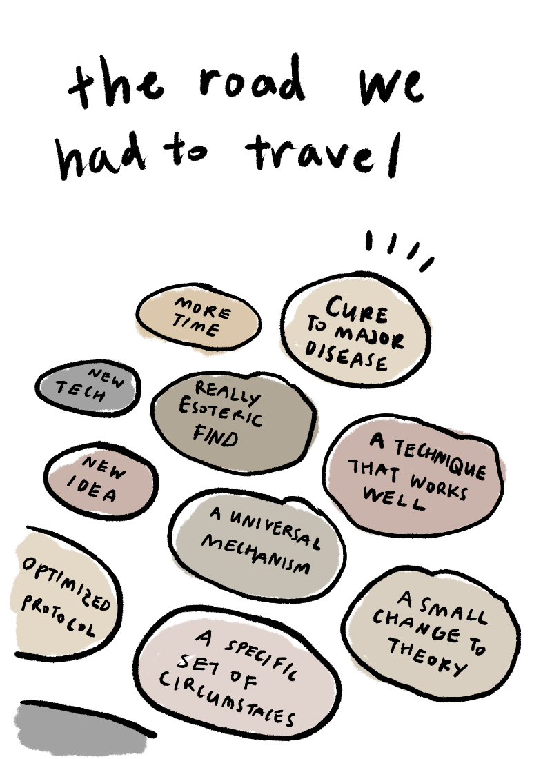 superlark:  I thought about something that I loved today.