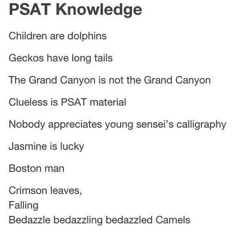 onceuponarollyjogger:So the PSAT was today