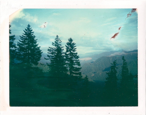 http://cherubesque.tumblr.com/post/89163283418