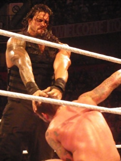 tinycourageous: Oh hi Roman, what is it you’re doing to Punk there?