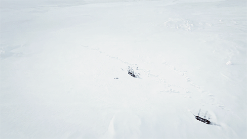 laissezferre: There’ll be nothing, you hear? Nothing lives there. Nothing grows. Death is slow