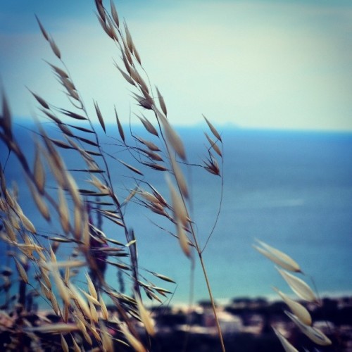 wetravelandblog: Land and sea. #nikon #nature - Love this instagram shot by badkarma - Travel the w