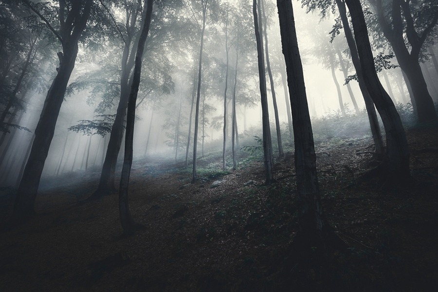 magic-spelldust: by Joanna Rzeźnikowska   