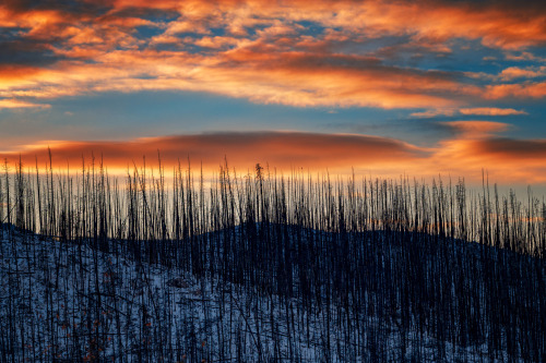 lewerta: The whole of nature in its beauty! Photo by Mark Jinks