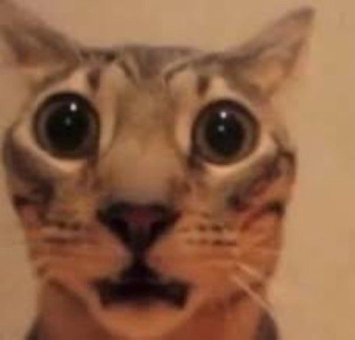 Me When I Tell You That Ive Known Since A Long Time Ago And Your Secret Santa Told Me To Play Along So