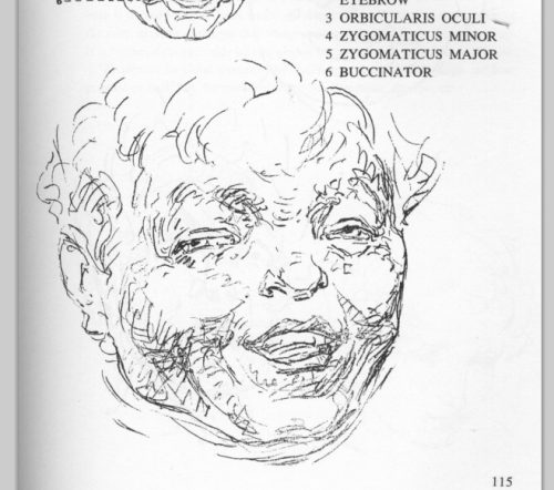 antiale:JUST GOING THROUGH A FIGURE DRAWING BOOK AND WHATWHAT EVEN IS THIS FACE