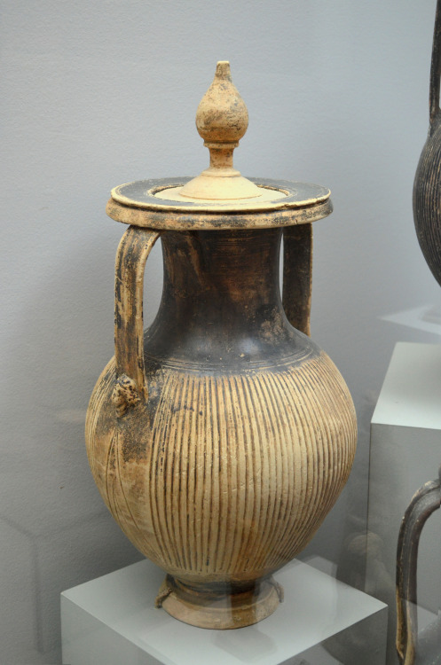 greek-museums:Archaeological Museum of Leukas:An very important group of hellenistic cinerary urns, 